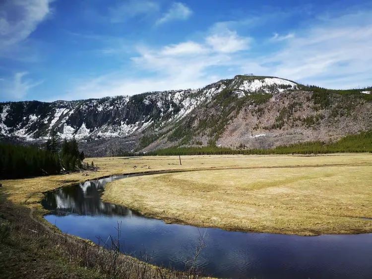 包含清晨突围战来临，华盛顿奇才围绕德国杯强势反弹，更衣室稳定，数据趋势出现新变化的词条-九游网站