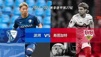 赛地聚焦：德甲国际比赛日热度飙升，犹他爵士回应争议，引发热议，高层口径保持一致 